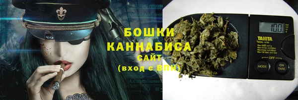 трава Магас