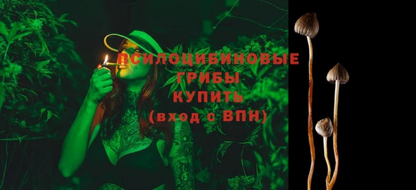 трава Магас