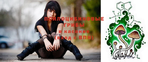 трава Магас