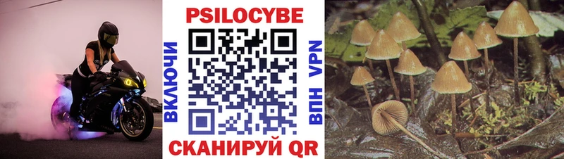 где продают наркотики  Нягань  Галлюциногенные грибы мицелий 